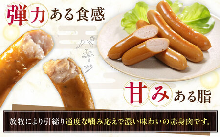 【全2回定期便】【結着剤・発色剤・保存料不使用】 放牧豚 ソーセージ11種セット 無添加 無塩せき [AXBA026]