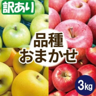 【ふるさと納税】【10月～11月出荷】りんご 品種おまかせ 約3kg 訳あり【配送不可地域：離島・沖縄県】【1668105】