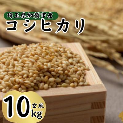 ふるさと納税 加須市 【先行受付】令和8年産　水野農園のコシヒカリ　玄米10kg(5kg×2袋)