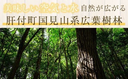 【A51001】鹿児島県産日本ミツバチ蜂蜜(約450g) 幻とも言われる貴重な生はちみつ！蜂蜜 ハチミツ はちみつ ハニー 蜜 国産 鹿児島 日本ミツバチ 生はちみつ 生蜂蜜 トースト ヨーグルト【芳