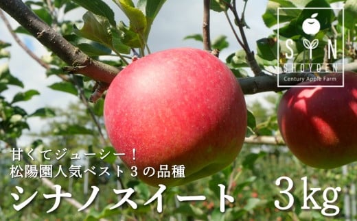 【先行予約｜2026年10月中旬頃から順次発送】 りんご シナノスイート 3kg 松陽園 岩手県 遠野市 樹上完熟 農家直送 ご贈答 シナノスウィート