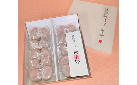 A-88【市田柿専門店　金の柿】白箱「秀品」450g(2個包装10袋入り)