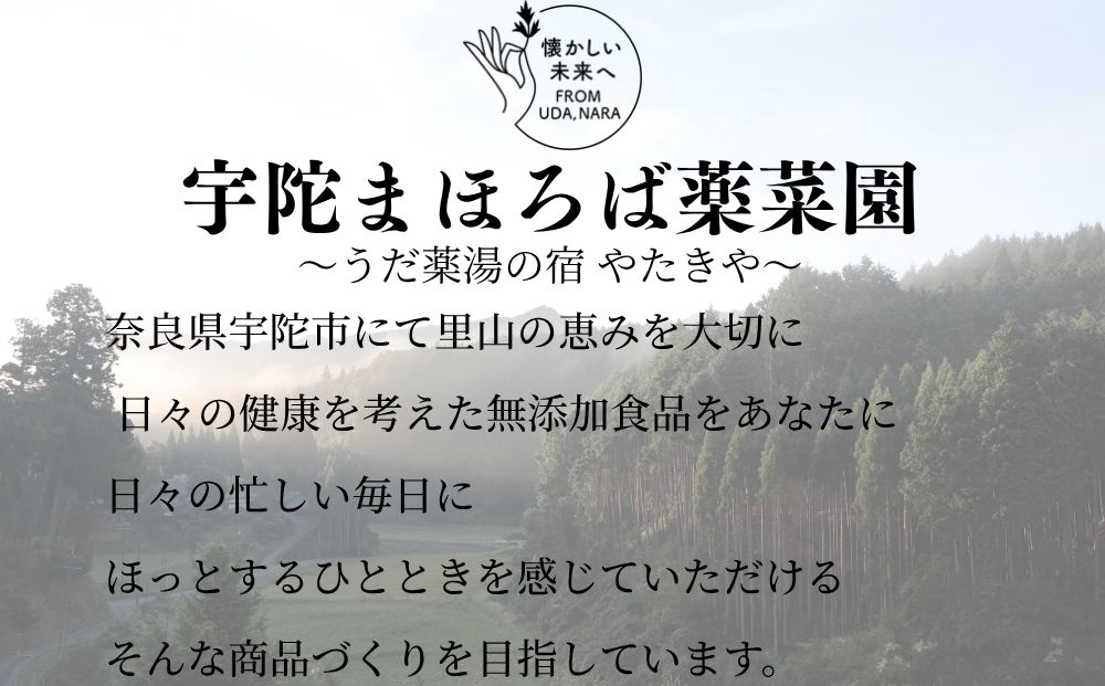 生ひのきの湯 入浴剤 (62g×10包) ／ ふるさと納税 入浴剤 ギフト プレゼント 疲労回復 個包装 コラボ 天然素材 桧 檜 湯の花 大和当帰 風呂 宇陀薬狩郷 奥飛騨温泉郷 父の日 奈良県 宇