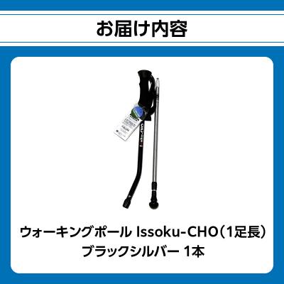 ふるさと納税 大分市 ウォーキングポール Issoku-CHO( 1足長) ブラックシルバー 1本_R17007 |  | 03