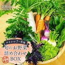 【ふるさと納税】 野菜 詰め合わせ おまかせ 7～8種類 BOX セット 旬 自然栽培 肥料・農薬不使用 無農薬 お野菜 野菜セット 野菜詰め合わせ 山梨県 北杜市 八ヶ岳南麓 送料無料