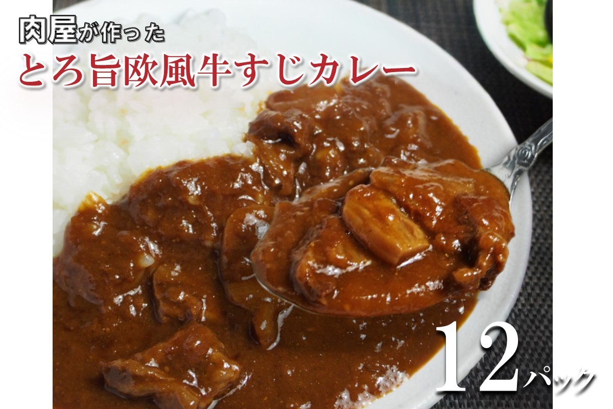 
            とろ旨欧風牛すじカレー（200g×12パック）【配送不可地域：北海道・沖縄】【069D-013】
          