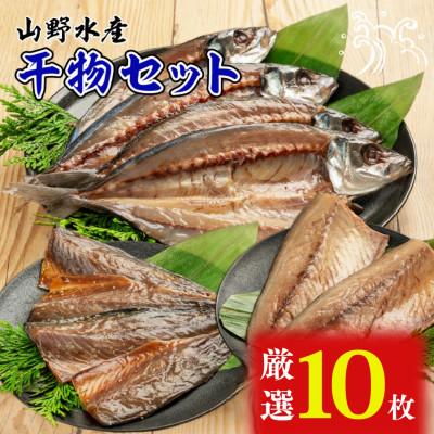 ふるさと納税 日南市 山野水産 干物 セット 10枚 詰め合わせ