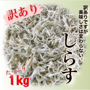 訳あり 釜揚げしらす 1kg 冷凍 愛知県 南知多町 釜揚げ しらす 魚 さかな ご飯 ごはん 日間賀島 おすすめ ※離島配送不可  ( しらす しらす しらす しらす しらす しらす しらす しらす しらす しらす しらす しらす しらす しらす しらす しらす しらす しらす しらす しらす しらす しらす しらす しらす しらす しらす しらす しらす しらす しらす しらす しらす しらす しらす )