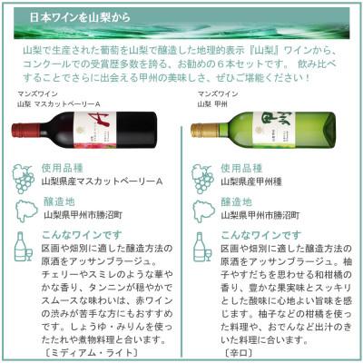 ふるさと納税 山梨県 これぞ山梨 「GI山梨」認証ワイン 6本セット |  | 03