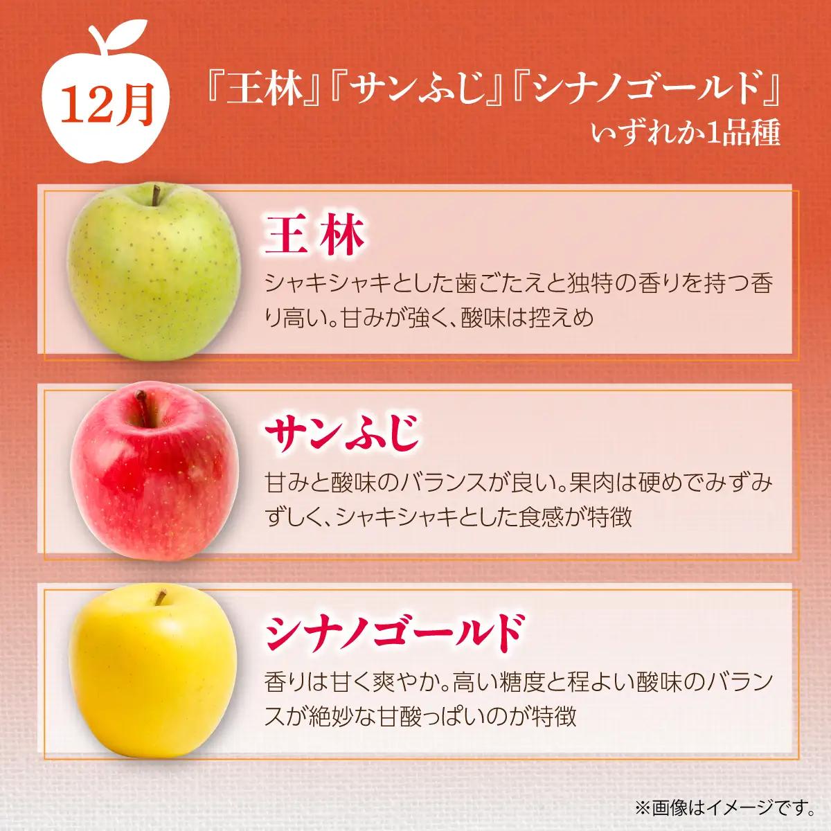 【先行予約】＜10･11･12月お届け＞北海道壮瞥町　旬のりんご約3kg　おまかせ定期便 SBTF031