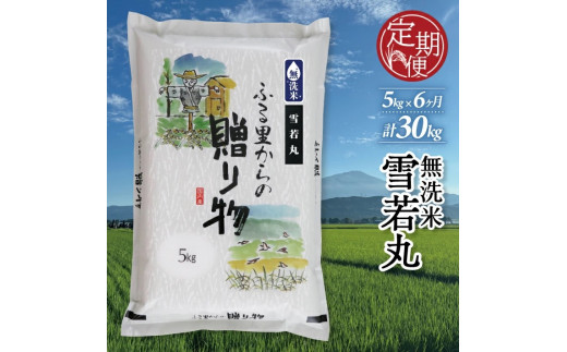 【令和8年産 新米予約】 ≪6ヶ月定期便≫ 無洗米 雪若丸 5kg×6回 計30kg 山形県産 毎月下旬頃お届け 産地直送 米 お米 精米 白米 庄内米 ブランド米 東北 酒田市 小松農産 KN　SH0066