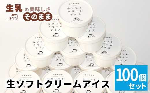 
                  イベントやパーティにも◎生ソフトクリームアイス100個 80ml  アイスクリーム ソフトクリーム アイス イベント お祝い デザート 大人数 パーティー 結婚式 クリスマス  根羽村 ネバーランド 60000円
                