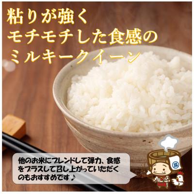 ふるさと納税 あわら市 【毎月定期便】ミルキークイーン 精米 10kg全3回 |  | 01
