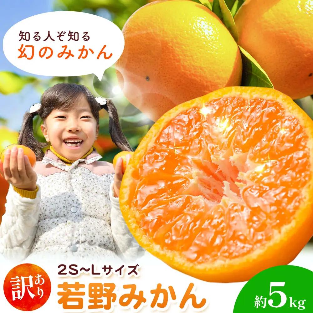 訳あり 若野みかん (2S～Lサイズ)  約5kg マルエイ農園 みかん