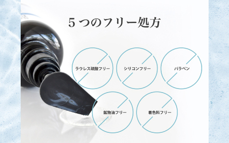 6回 定期便 サロン・ド・オーデ ハイドロリペア シャンプー ＆ トリートメント 各 500ml 2本 セット 合計 12本 ダメージ補修 ボトル 液体 アロインス製薬 美容 美容品 化粧品 日用品 