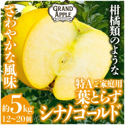 シナノゴールド　特Aご家庭用　約5kg(12～20個)【配送不可地域：離島・沖縄県】