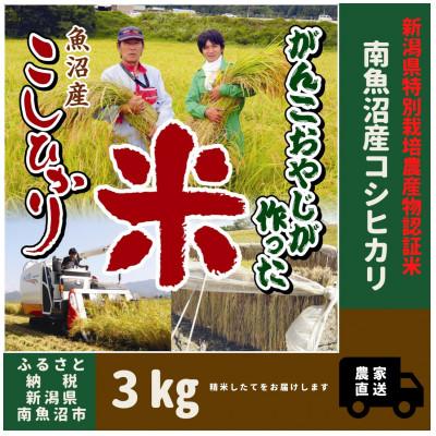 ふるさと納税 南魚沼市 【令和7年産】特別栽培米　がんこおやじが作った南魚沼産コシヒカリ　白米3kg×1袋
