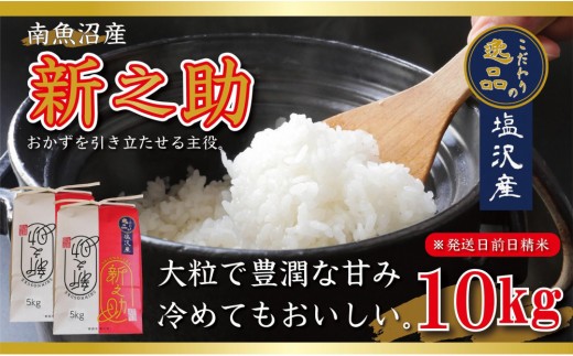 
                  【令和8年産先行予約】南魚沼産新之助10kg一等米（5kg×2袋）【塩沢地区】【銘柄米 ブランド米 精米 新之助 魚沼産 新潟米 産地直送 お米 米 こめ コメ ご飯 御飯 ごはん】【2026年10月中旬より1ヶ月以内に順次発送予定】
                