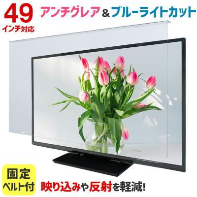 ふるさと納税 和泉市 大阪府和泉市　49AG2　49インチ用　テレビ画面保護パネル　アンチグレアタイプ　テレビガード