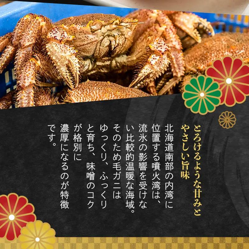 北海道・噴火湾産冷凍ボイル毛ガニ約400g前後×1尾  mr1-1447