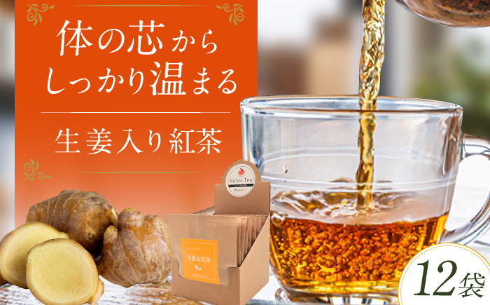 
            生姜入り紅茶 12袋 お茶 ショウガ 健康 リラックス 広川町 / ワークアンドライフ [AFAQ007]
          