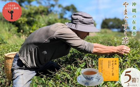 沖縄の在来茶「沖縄やまぐすく茶」5箱セット