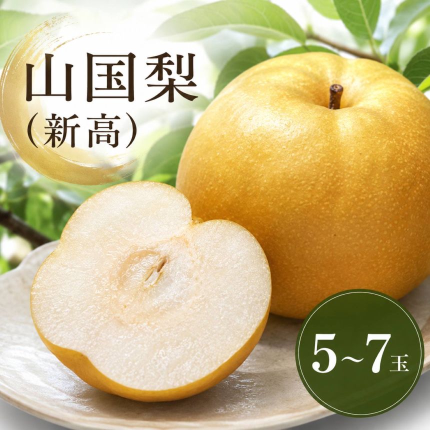 【ふるさと納税】山国梨 (新高）梨 4～7玉 ＜先行予約＞ | なし ナシ 産地直送 果物 くだもの フルーツ 大分県産 九州産 中津市 国産 送料無料【発送：2026年10月中旬～2026年11月下旬頃の予定】