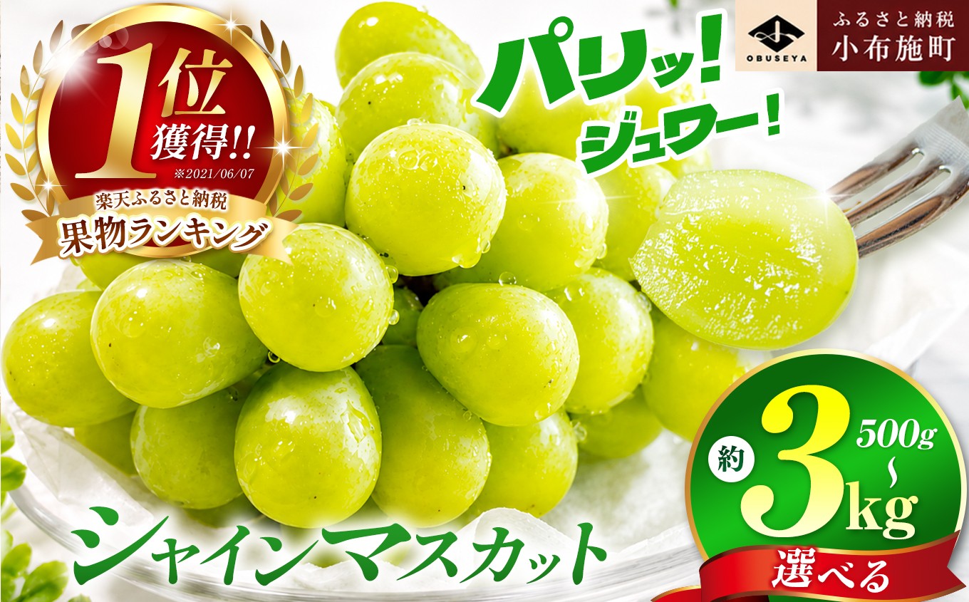
                  先行受付 シャインマスカット 約500g 約1.1kg 約1.4kg 約2kg 約3kg 選べる内容量 ［小布施屋］ フルーツ 果物 くだもの ぶどう 葡萄 ブドウ 数量限定 クール便配送 長野県産 産地直送 先行予約 2026年発送 令和8年産 【2026年9月下旬～10月上旬発送】
                