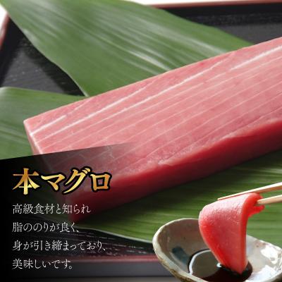ふるさと納税 室戸市 厳選 天然本まぐろ中トロ1柵 たっぷり 堪能 【年末発送】 |  | 01