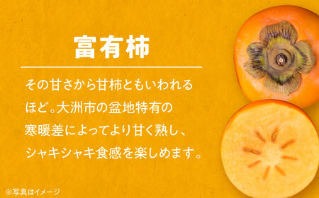 【先行予約】11月初旬より順次発送】早生みかん3kgと富有柿3kg 詰合せセット 愛媛県大洲市/沢井青果有限会社 [AGBN019]みかん柿果物みかん柿果物みかん