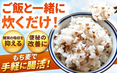 【全6回定期便】白石産 もち麦 900g（300g×3袋）/回（総計5.4kg）【道の駅しろいしカンパニー】[IAA035]