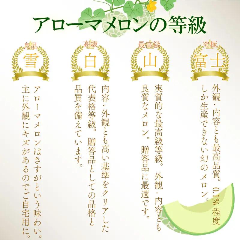 【通年出荷】 高級 マスクメロン  白級 2玉 静岡 化粧箱入  化粧箱入 贈答用 牧之原市 静岡県 牧之原うまいもん食楽部