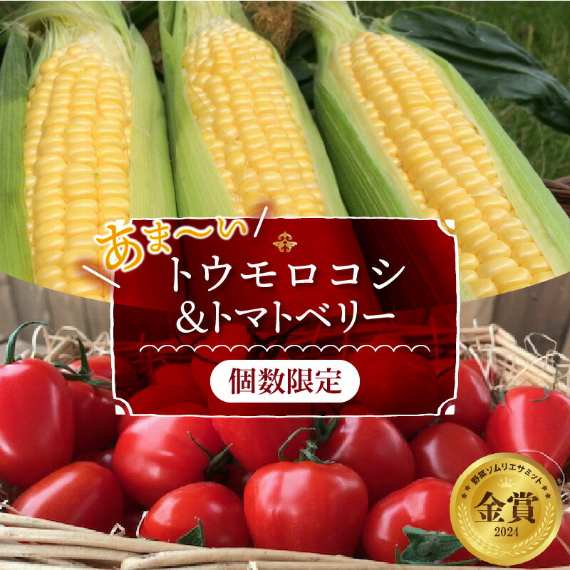 【ふるさと納税】【2026年度予約分】【 個数限定 】あま〜い トウモロコシ ＆ トマトベリー　長田農園 夢の共演 野菜 ソムリエサミット 金賞 受賞 産地直送 トマト とまと やさい フルーツ サラダ 高評価 トウモロコシ ミニトマト とうもろこし 送料無料 碧南市 愛知県