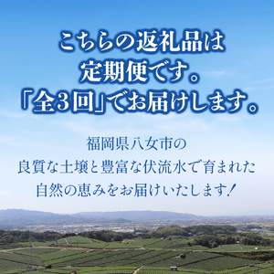 福岡八女　お楽しみ夏のフルーツ定期便C　桃　豊水梨　シャインマスカット｜＜配送不可：北海道・沖縄・離島＞