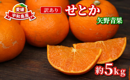 訳あり せとか 矢野青果 5 kg せとか B010-171032
