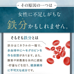  サジージュース 100%と+ゆず 1000ml×各1本セット（計2本）サジー シーベリー 沙棘 グアマラル 健康ドリンク 健康 美容 栄養 果汁 鉄分補給 栄養補給 健康食品_DX06