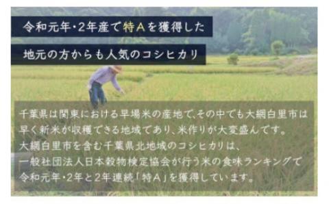 令和5年産 千葉県産「コシヒカリ」10kg（5kg×2袋） A011