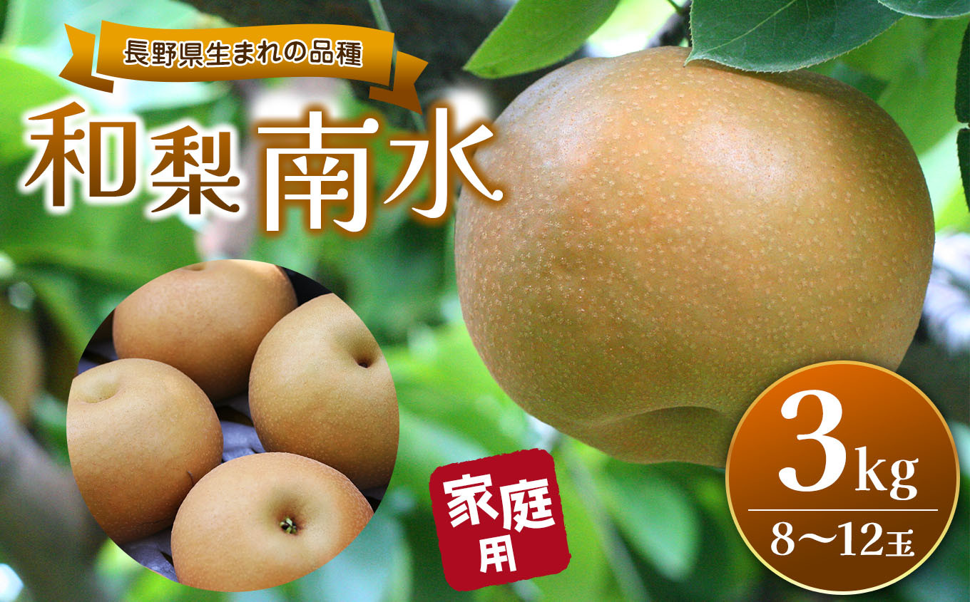 
            【先行受付：2026年発送】長野県生まれの品種 和梨 南水 3kg(8玉～12玉)｜ふるさと納税 信州 松本 梨 なし 南水 甘い 果物 フルーツ 甘い おすすめ
          