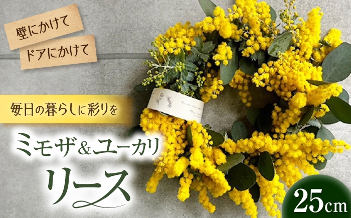 
                  雑貨 ミモザとユーカリのリース【3月下旬から4月上旬順次発送】 / ミモザ ユーカリ リース ドライフラワー 花飾り インテリア雑貨 ドア飾り ドライフラワー ミモザ リース ドア飾り プレゼント インテリア おすすめ 人気 りーす リース 壁飾り ウォールデコ ユーカリ ナチュラル おしゃれ 春 玄関 ドア 誕生日 / 大阪府藤井寺市/JamFlowerSalon [BLAW002]
                