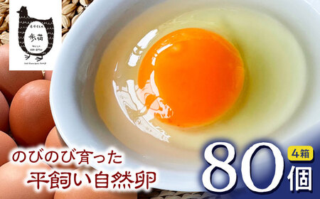 放し飼い 自然卵 「歩荷」 箱80個入 / 卵 たまご 鶏卵 玉子 平飼い / 稲沢市 / 平飼い自然卵歩荷 [BMBM004]