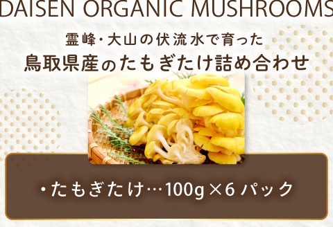 HO09：たもぎ茸　６パック