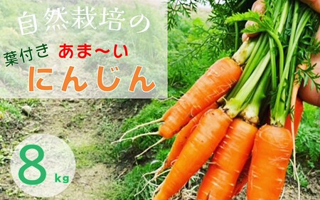 甘い葉付き人参 8kg かたもとオーガニックファーム 人参