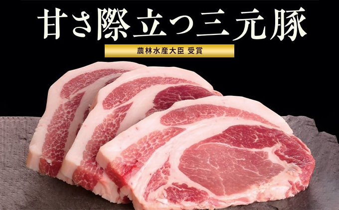 豚肉 信州太郎ぽーく 食べ比べセット しゃぶしゃぶ用 3種 900g 2016年全国銘柄ポーク好感度コンテスト優良賞3位 豚ロース バラ モモ 豚バラ 豚モモ 食べ比べ セット 詰め合わせ ポーク 豚 お肉 肉 長野 信州