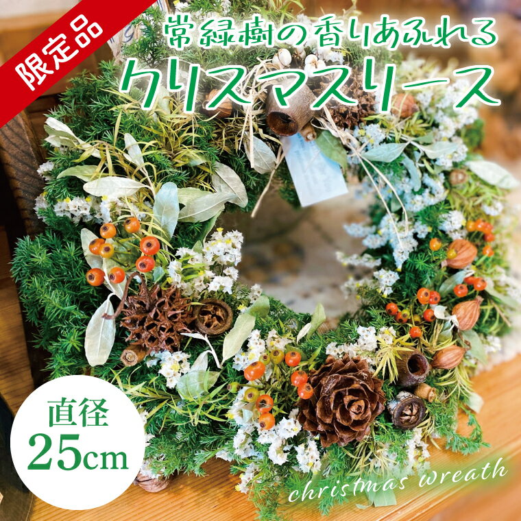【ふるさと納税】【11月下旬以降発送・数量限定】常緑樹の香りあふれるクリスマスリース（限定品）【インテリア おしゃれ 壁飾り プレゼント お花 ギフト ナチュラル クリスマス リース 水戸市 水戸 茨城県】（KW-3）