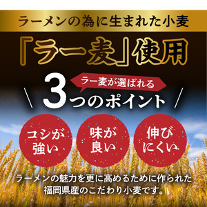 こだわりの味！ 博多極旨 豚骨ラーメン（生めん）15食セット _PC5106