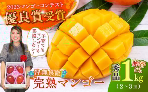 【優良賞受賞】沖縄県産 完熟マンゴー 秀品 1kg (2〜3玉) マンゴー 沖縄 果物 フルーツ ギフト 沖縄市 / MAIFARM [BCAN001]