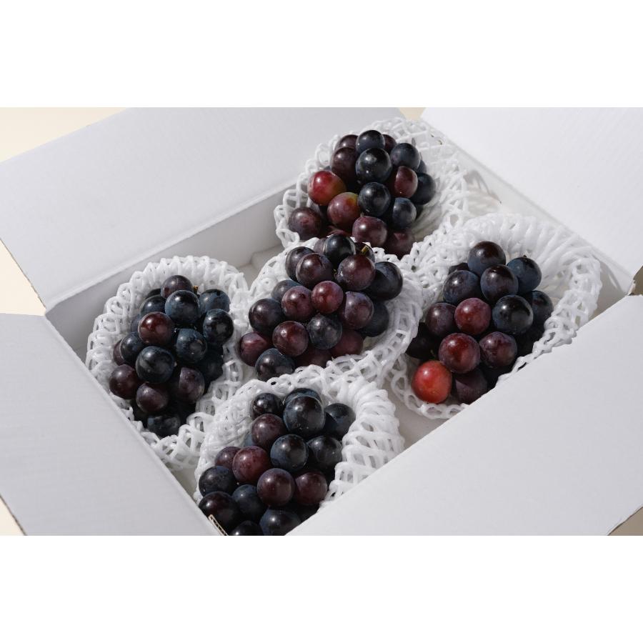 ＜Bonchi＞甲州市産 種無しピオーネ 4～5房入(1.8kg)自然農法