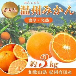 【2024年11月下旬より発送】赤秀品　紀州有田産濃厚完熟温州みかん　3kg(MorS)【日高町】【1217244】
