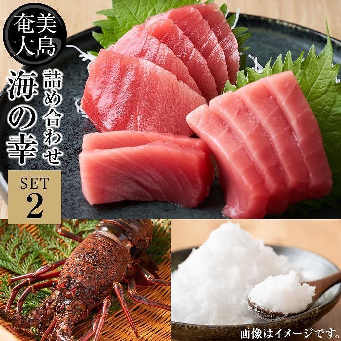 【ふるさと納税】【奄美大島 瀬戸内町】海の幸　詰め合わせセット2（伊勢海老・黒マグロ・加計呂麻の塩） | 奄美 クロマグロ 中トロ 伊勢海老 加計呂麻島 塩 マグロ 鮪 鹿児島県 九州 海鮮 送料無料 魚介類 おすすめ お取り寄せ