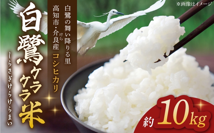 
                  農薬節減！ R8年度産 特別栽培米 白鷺ケラケラ米 コシヒカリ 約10kg 〈2026年9月中旬〜発送〉 / 高知 米 お米 精米　【津ノ宮農園】[ATBV020]
                